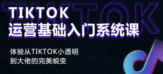 Tiktok实操进阶课程,体验从tiktok小透明到大佬的完美蜕变-淘金日记
