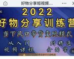 萌飞好物·2022抖音好物分享训练营，当下风口带货变现模式，从入门到精通-淘金日记