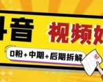 (燃烧好物)抖音视频好物分享实操课程(0粉+拆解+中期+后期)-淘金日记