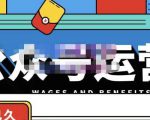 零零已久·从0-1运营公众号，零基础小白也能上手，系统性了解公众号运营-淘金日记