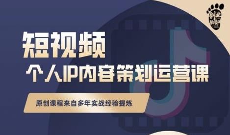 抖音短视频个人ip内容策划实操课，真正做到普通人也能实行落地-淘金日记