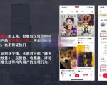 麦子互娱短视频带货·0基础做好物分享账号,无需出镜无需货源无需拍摄-淘金日记