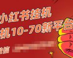 视频号小红书抖音挂机项目,小白无脑操作,按照要求来,单号每天几十米-淘金日记