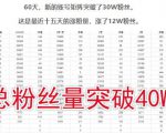 倪叶明·蓝海公众号矩阵项目训练营,0粉冷启动,公众号矩阵账号粉丝突破30w-淘金日记