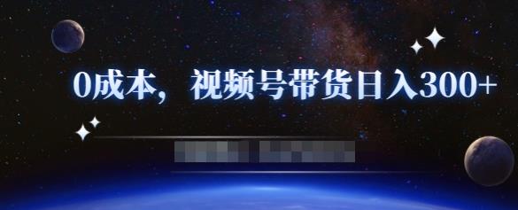零基础视频号带货赚钱项目,0成本0门槛轻松日入300+【视频教程】-淘金日记
