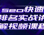 seo快速排名实战讲解视频课程,揭秘seo快排原理-淘金日记