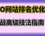 樊天华·SEO网站排名优化实战高级技法指南,让客户找到你-淘金日记