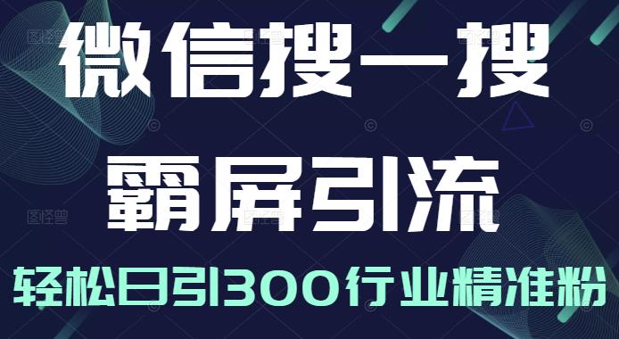 微信搜一搜霸屏引流课,打造被动精准引流系统,轻松日引300行业精准粉-淘金日记