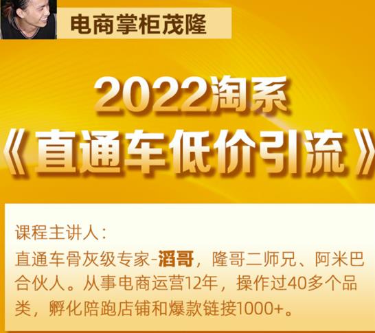 茂隆2022直通车低价引流玩法,教大家如何低投入高回报的直通车玩法-淘金日记