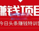 懒人领域·今日头条项目玩法,头条中视频项目,单号收益在50—500可批量-淘金日记