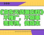 诺思星商学院京东无货源店群课:不推广,不刷单,零库存,低成本-淘金日记