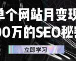 单个网站月变现100万的SEO秘密，百分百做出赚钱站点-淘金日记