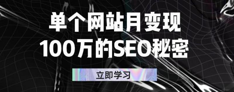 单个网站月变现100万的SEO秘密,百分百做出赚钱站点-淘金日记