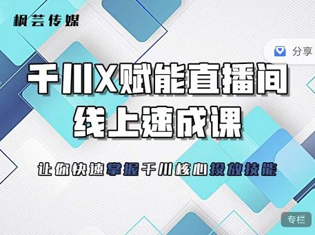 枫芸传媒-线上千川提升课,提升千川认知,提升千川投放效果-淘金日记