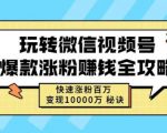 玩转微信视频号爆款涨粉赚钱全攻略,快速涨粉百万变现万元秘诀-淘金日记