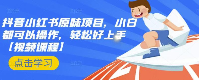 抖音小红书原味项目,小白都可以操作,轻松好上手【视频课程】-淘金日记