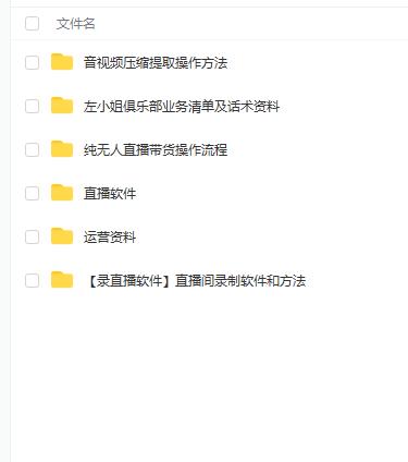 左小姐-直播带货俱乐部十三行、无人直播，全套教程附：工具、文档、话术资料-淘金日记