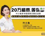 叶小鱼21天短视频文案拆书营,学完轻松搞定各类书单短视频文案-淘金日记