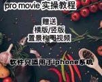 漆十二美食摄影,25节promovie实操高手课节-淘金日记