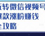 玩转微信视频号爆款涨粉赚钱全攻略，让你快速抓住流量风口，收获红利财富-淘金日记