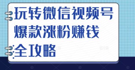 玩转微信视频号爆款涨粉赚钱全攻略，让你快速抓住流量风口，收获红利财富-淘金日记