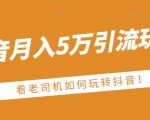 老古董·抖音月入5万引流玩法,看看老司机如何玩转抖音(附赠:抖音另类引流思路)-淘金日记