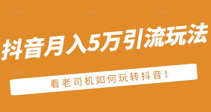 老古董·抖音月入5万引流玩法,看看老司机如何玩转抖音(附赠:抖音另类引流思路)-淘金日记