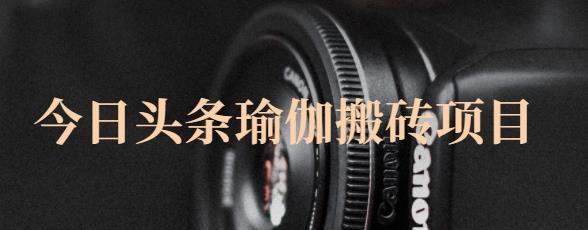 猎人社区·今日头条瑜伽搬砖项目,单号一天几十收入,可以批量操作!-淘金日记