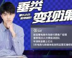 张sir·垂类变现课，抖音带货新手才看粉丝量，高手都看变现效率-淘金日记