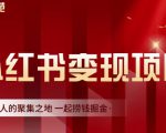 渣圈学苑·小红书虚拟资源变现项目,一起捞钱掘金价值1099元-淘金日记