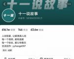 十一说故事·故事性中视频,观众快速共鸣从而快速变现的中视频玩法-淘金日记