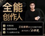 王松傲寒·全能创作人思维课,帮你打造创作人IP,全面提升导演思维-淘金日记