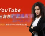 外国人眼中的YouTube该怎么玩?Elisa·YouTube运营推广实战技巧-淘金日记