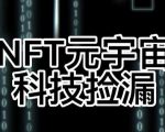 【元本空间sky七级空间唯一ibox幻藏等】NTF捡漏合集【抢购脚本+教程】-淘金日记