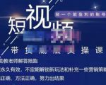 吴Sir·短视频带货底层实操课,教你如何选爆品、了解获短视频流量密码,正确起号-淘金日记