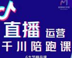 美尊-抖音直播运营千川系统课:直播运营规划、起号、主播培养、千川投放等-淘金日记
