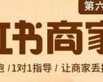 贾真-小红书商家营第6期商家版，21天带货陪跑课，让商家丢掉付流量-淘金日记