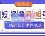 大东·短视频同城号教程,包括搭建思路,版面制作,文案内容,剪辑操作等-淘金日记