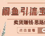 闲鱼引流宝妈粉+卖货赚钱一个月收益30000+(实操视频教程)-淘金日记