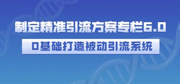 制定精准引流方案专栏6.0,0基础打造被动引流系统-淘金日记