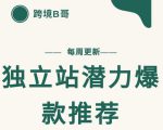 【跨境B哥】独立站潜力爆款选品推荐,测款出单率高达百分之80-淘金日记