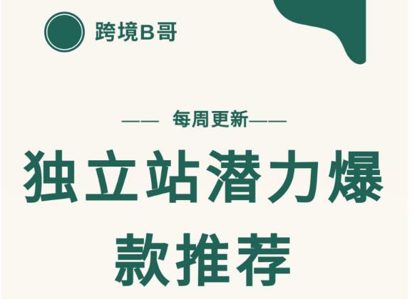 【跨境B哥】独立站潜力爆款选品推荐，测款出单率高达百分之80-淘金日记