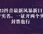 2022抖音最新风暴新口子:多开实名,一整开两个实名,封禁也行-淘金日记