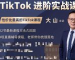大山老师TikTok进阶实战课:账号详解,流量运营,实战变现,助力你成功出海-淘金日记