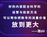 张sir账号流量增长课，告别海王流量，让你的流量更精准-淘金日记