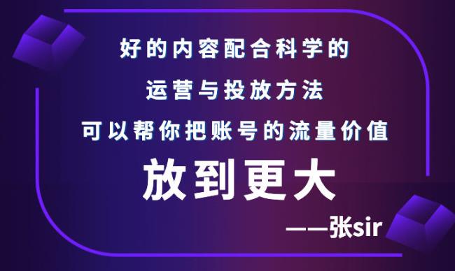 张sir账号流量增长课,告别海王流量,让你的流量更精准-淘金日记