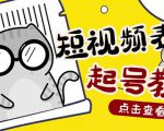 外面卖1288快手抖音表情包项目,按播放量赚米【内含一万个表情包素材】-淘金日记