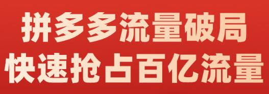 阿杰·拼多多流量破局:如何打黑标,爆款的思路,拼多多流量框架,快速抢占百亿流量-淘金日记