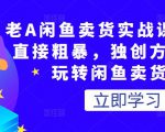 老A闲鱼卖货实战课,简单直接粗暴,独创方法带你玩转闲鱼卖货!-淘金日记