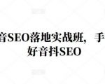 王通·抖音SEO落地实战班,手手带你做好音抖SEO-淘金日记